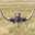 shears