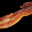 ConnerABacon ConnerABacon