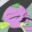 Spike the Magic Dragon