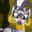 Frappe Pony Bro Frappe Pony Bro