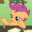 DeadParrot222 DeadParrot222