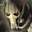 Grievous544 Grievous544