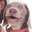 Dog Strelok Dog Strelok