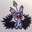 Fenris the sockwulf Fenris the sockwulf