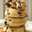Shibe Doge Shibe Doge