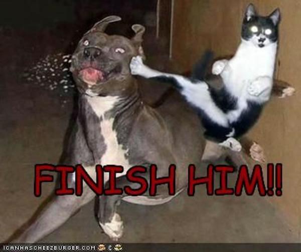 Image result for finish him meme