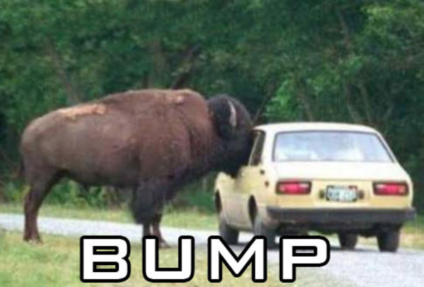 Image result for bump meme