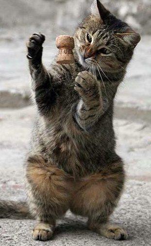 Amazing_Timed_Photography_26.jpg