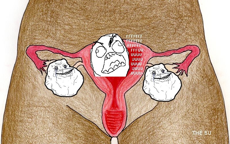 Angry Uterus Memes 16 Pro Choice Memes That Will Make You Laugh, Cry,